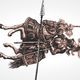 Illustration for article titled Death to Chivalry, Long Live Politeness!